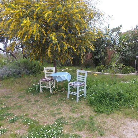 Kassimiotis Aparthotel Agios Andreas  Exterior photo
