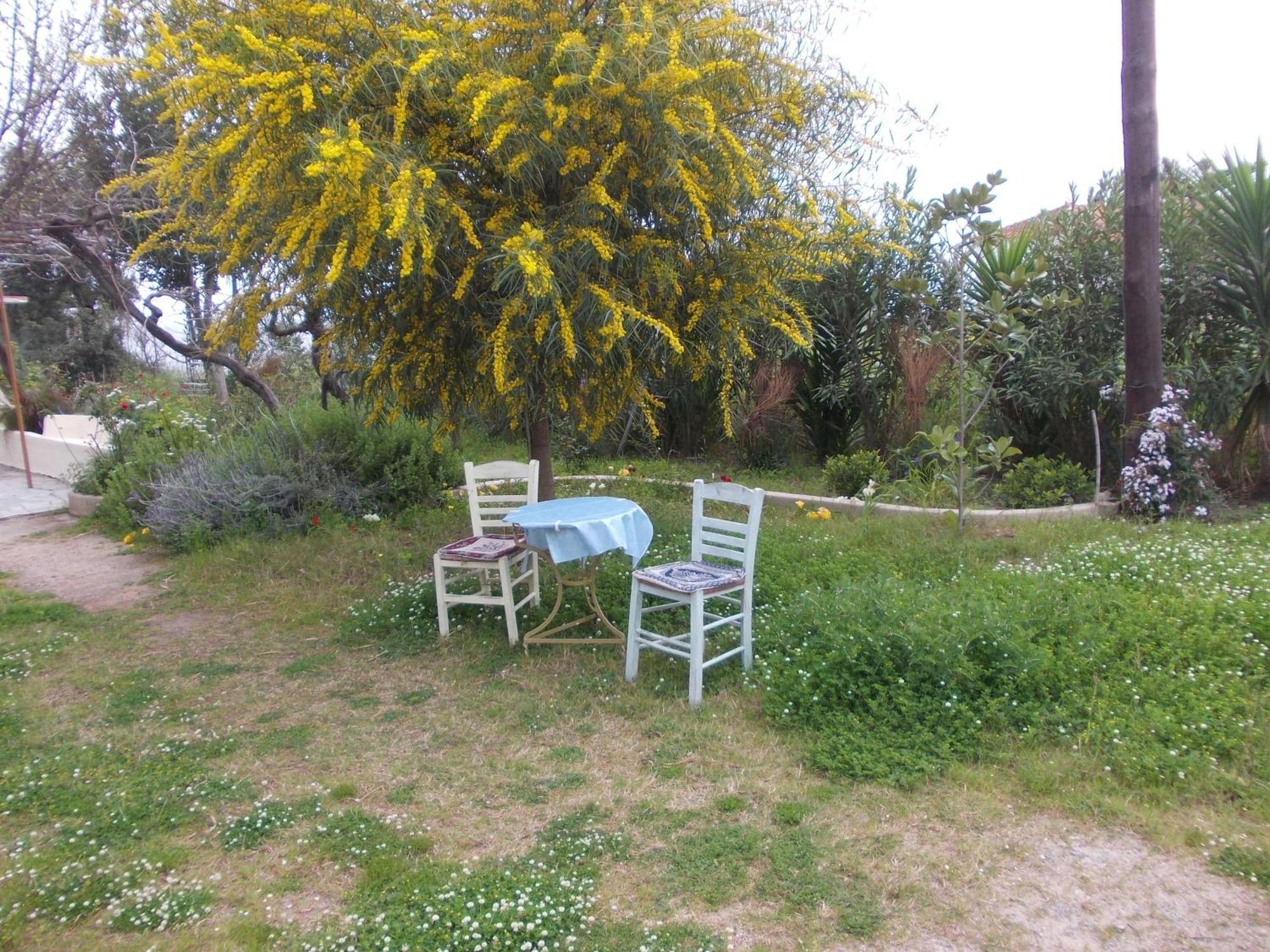 Kassimiotis Aparthotel Agios Andreas  Exterior photo